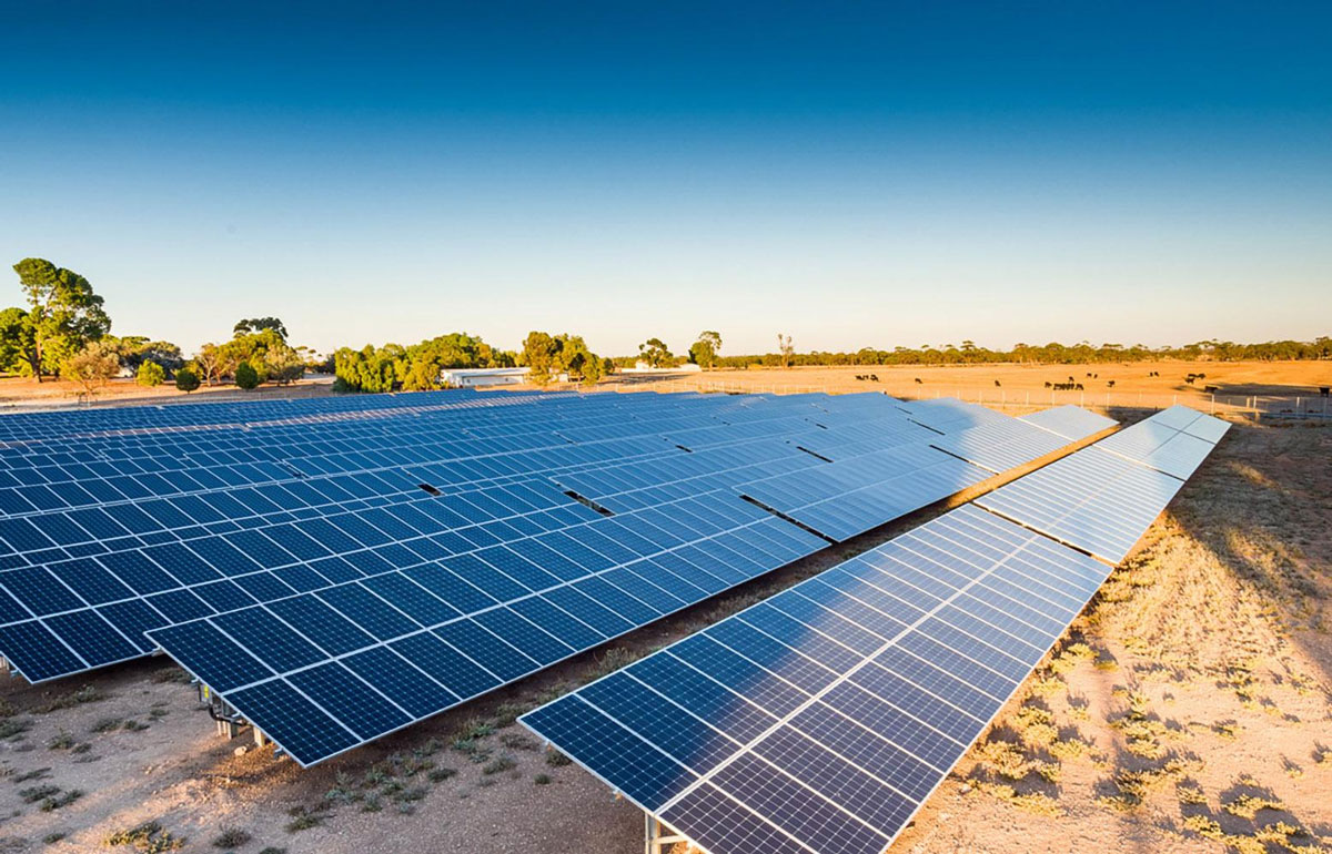 Solar Panels on Ground Mount